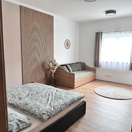 Apartment Schneeflock