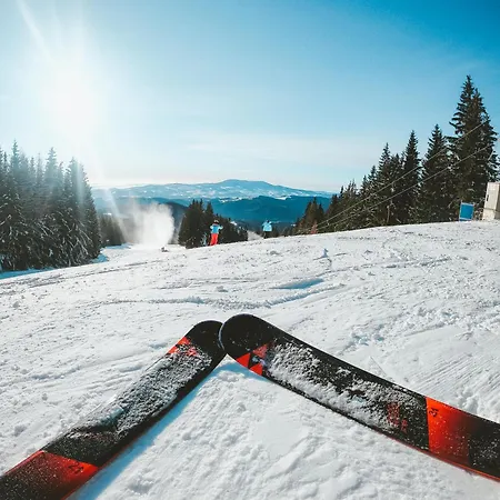Lejlighed Schneeflock Birkfeld