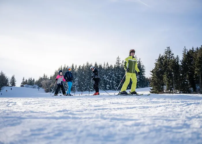 Schneeflock 公寓 *