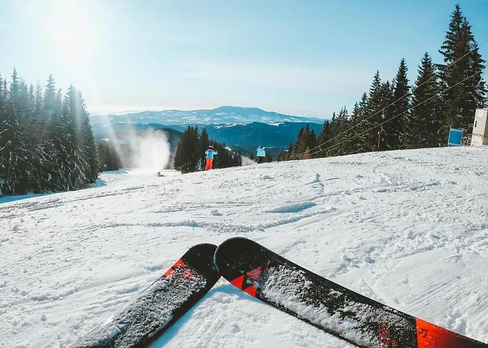 公寓 Schneeflock Birkfeld